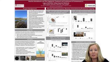 Reactive Amendments and Thin Capping for Treatment and Containment of Legacy Gold Mine Tailing Impacted Wetlands